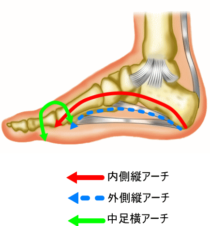 蹴り出した時に足裏の特に前の方が痛い 中足骨頭部痛 古東整形外科 リウマチ科